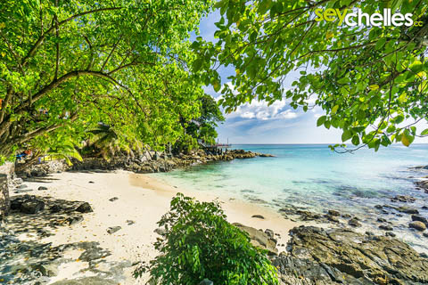 Der Strand des Hilton Northolme