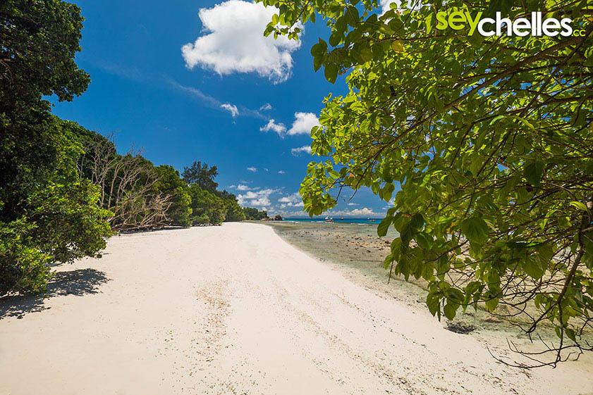 northern end of anse severe looking south