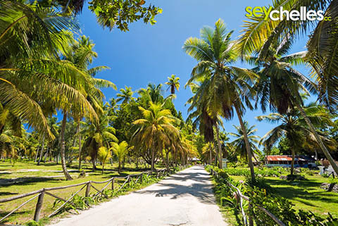 einfahrt in das l´union estate