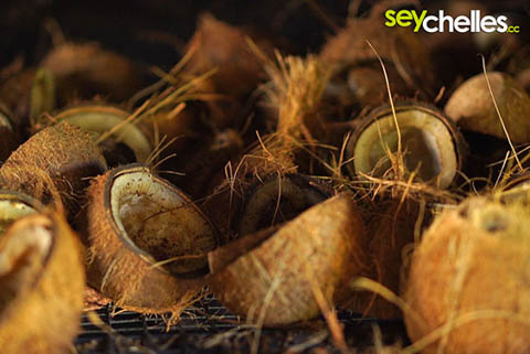 getrocknete kokosnüsse