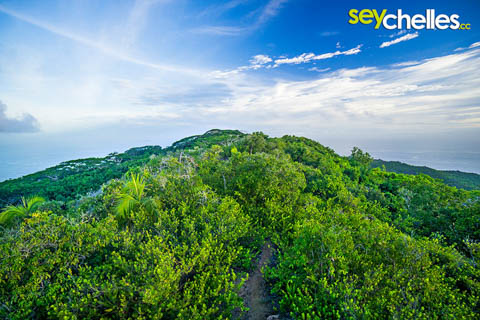 pfad vom aussichtspunkt zum gipfel des nid d´aigle