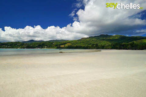 anse a la mouche at low tide