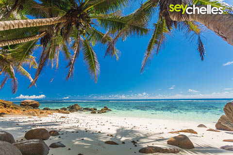 small anse baleine on mahe
