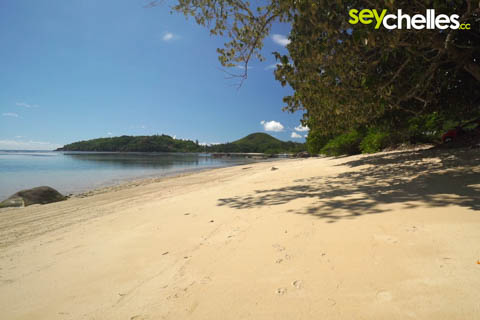 anse boileau beach on mahe
