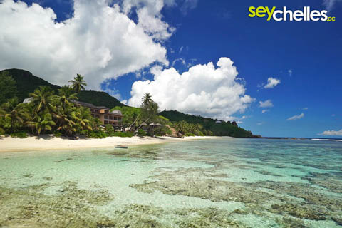 anse forbans with the double tree allamanda