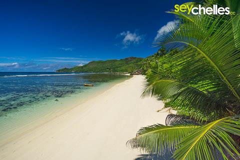 anse forbans in the south of mahe at low tite