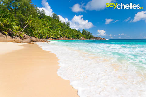 southern end of anse intendance