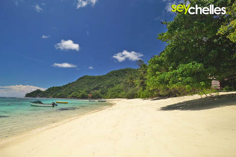 anse marie louise in the south of mahe