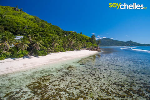 aerial view of anse parnel