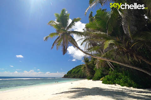 anse parnel looking south