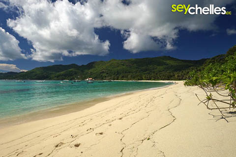 long but small anse royale