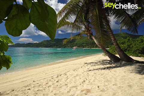 anse royale near the public parking ground on the coast road