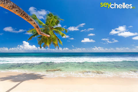 anse takamaka mahe, seychelles