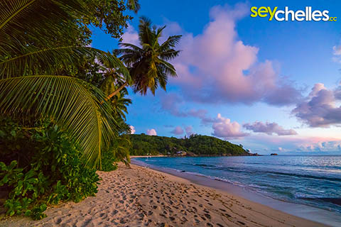 anse takamaka mahe after sunset