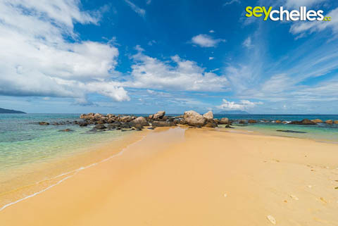 rock formation in the water on glacis beach