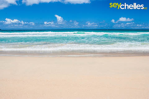 Grand Anse Mahé Towards North