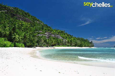 deserted beach on ile therese near mahe