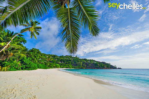 petite anse dream beach on mahe