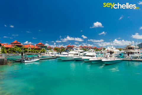 eden island marina - the biggest yachts of the seychelles