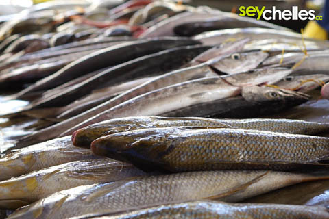 frische fische auf dem markt in victoria