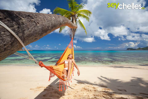 schief wachsende Palme mit Hängematte