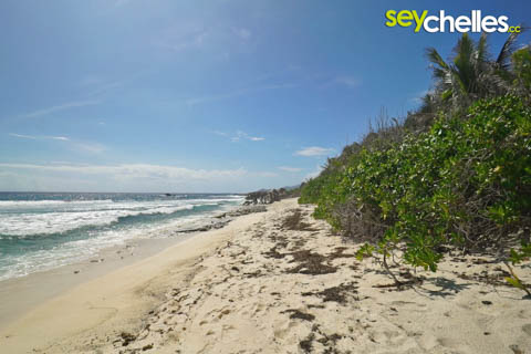 anse bonnet carre on la digue