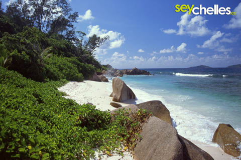 parkende fahrräder am weg zur anse caiman
