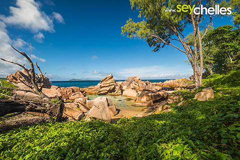 anse caiman blick nach norden