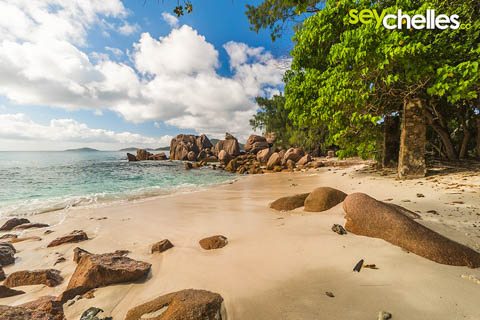 ruinen an der anse caiman