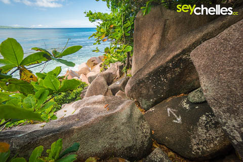 der felsige weg zur anse caiman