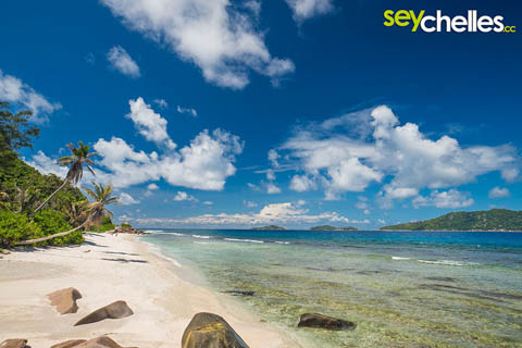 anse fourmis towards the north