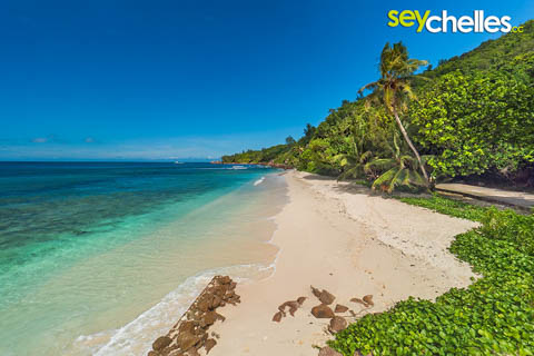 anse fourmis towards south
