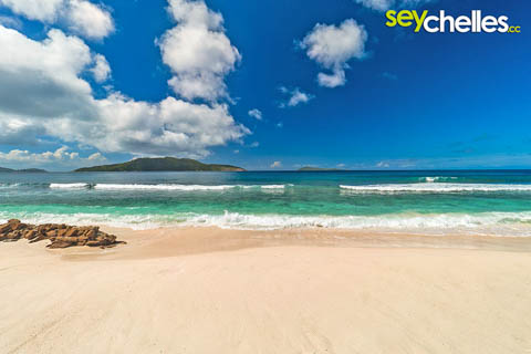 Anse fourmis on la digue