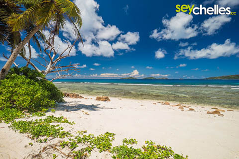 anse gaulette bei ebbe