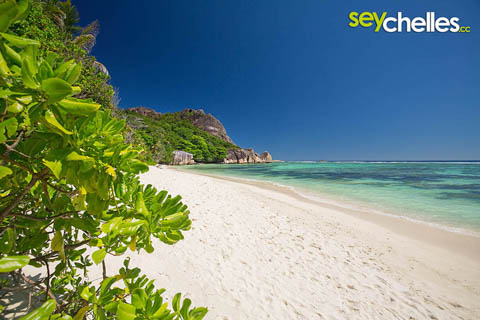 most famous beach on la digue - anse source d´argent