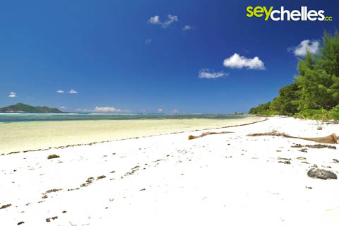 Anse union near union estate on la digue