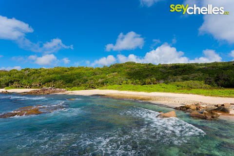 grand´l anse south of grand anse on la digue