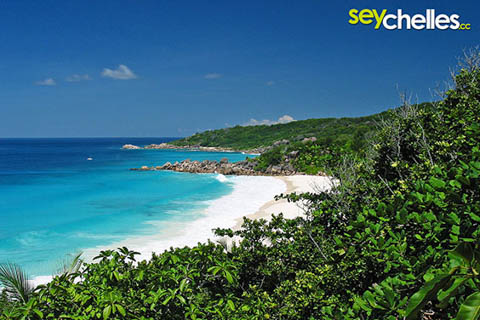 viewpoint between petite anse and anse cocos