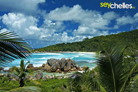 view towards the south - anse cocos la digue
