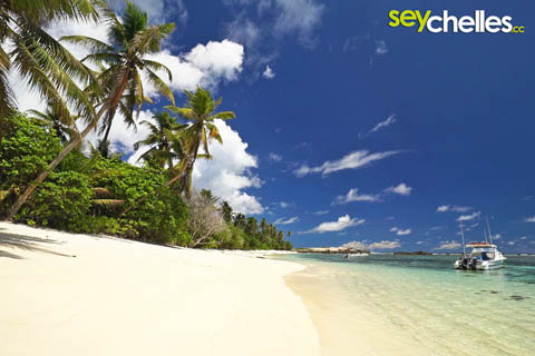 Die Anse Forbans nahe der Captains Villa