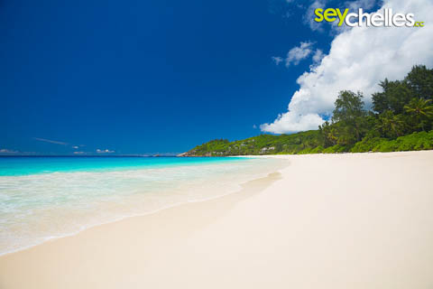 Anse Intendance Mahé from the air