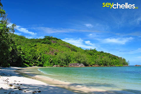 shady takamaka trees on port launay beach