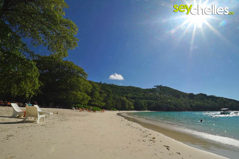 port launay sunchairs at constance ephelia beach