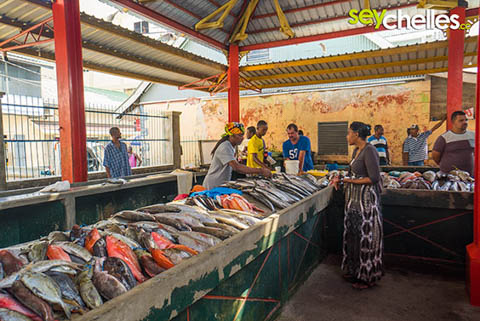 fresh fish on the market in victoria