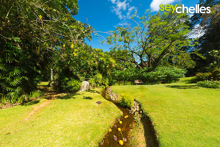 small stream in victorias botanical garden