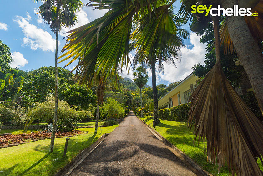 walking up the steep road in the botanical garden
