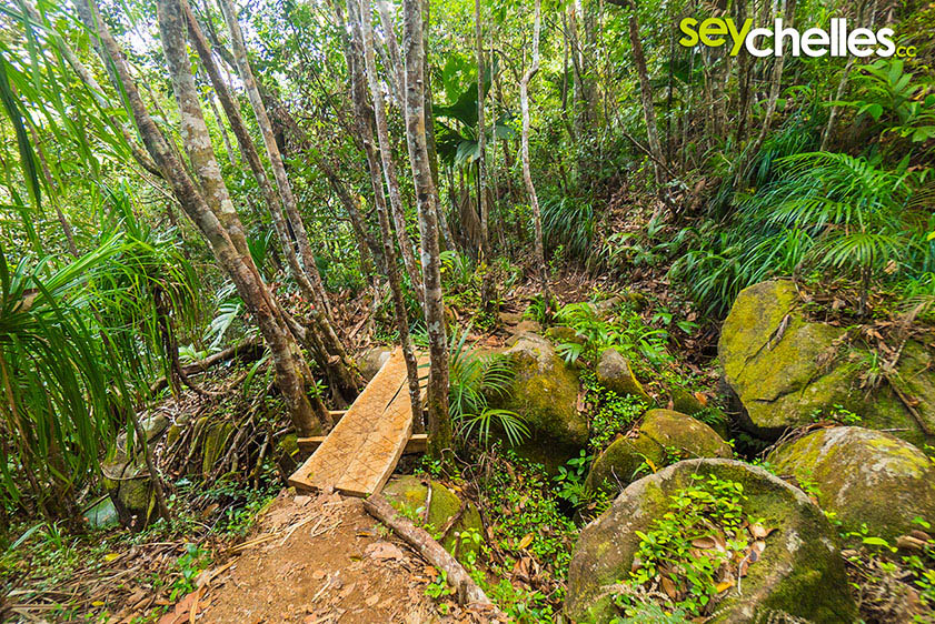 beatiful hike - mount copolia mahe