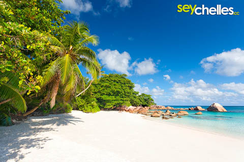 south western end of anse lazio