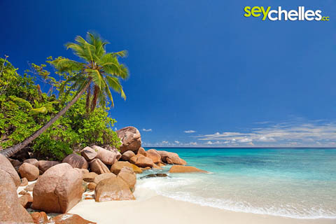 small bay north of anse lazio