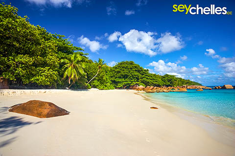 Anse Lazio on Praslin is the Nr. 4 in our Top5 beaches of Seychelles list